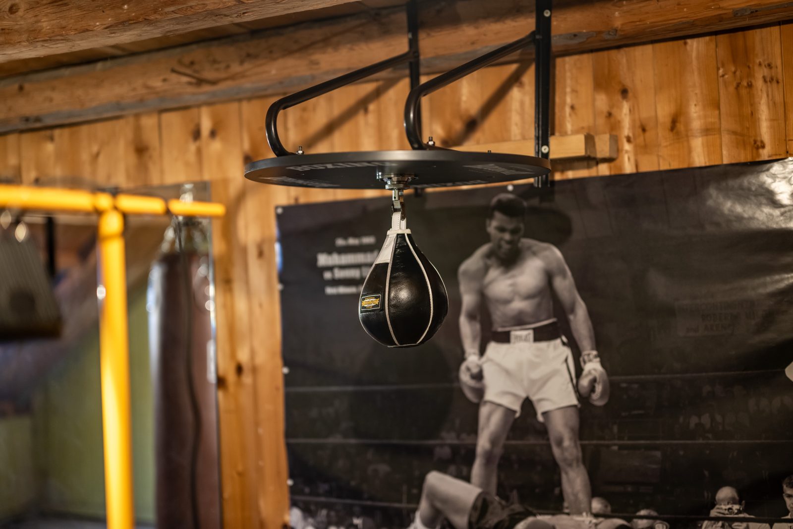 Box-Gym Speedball Muhammad Ali Poster Mesnerhaus Allgäu