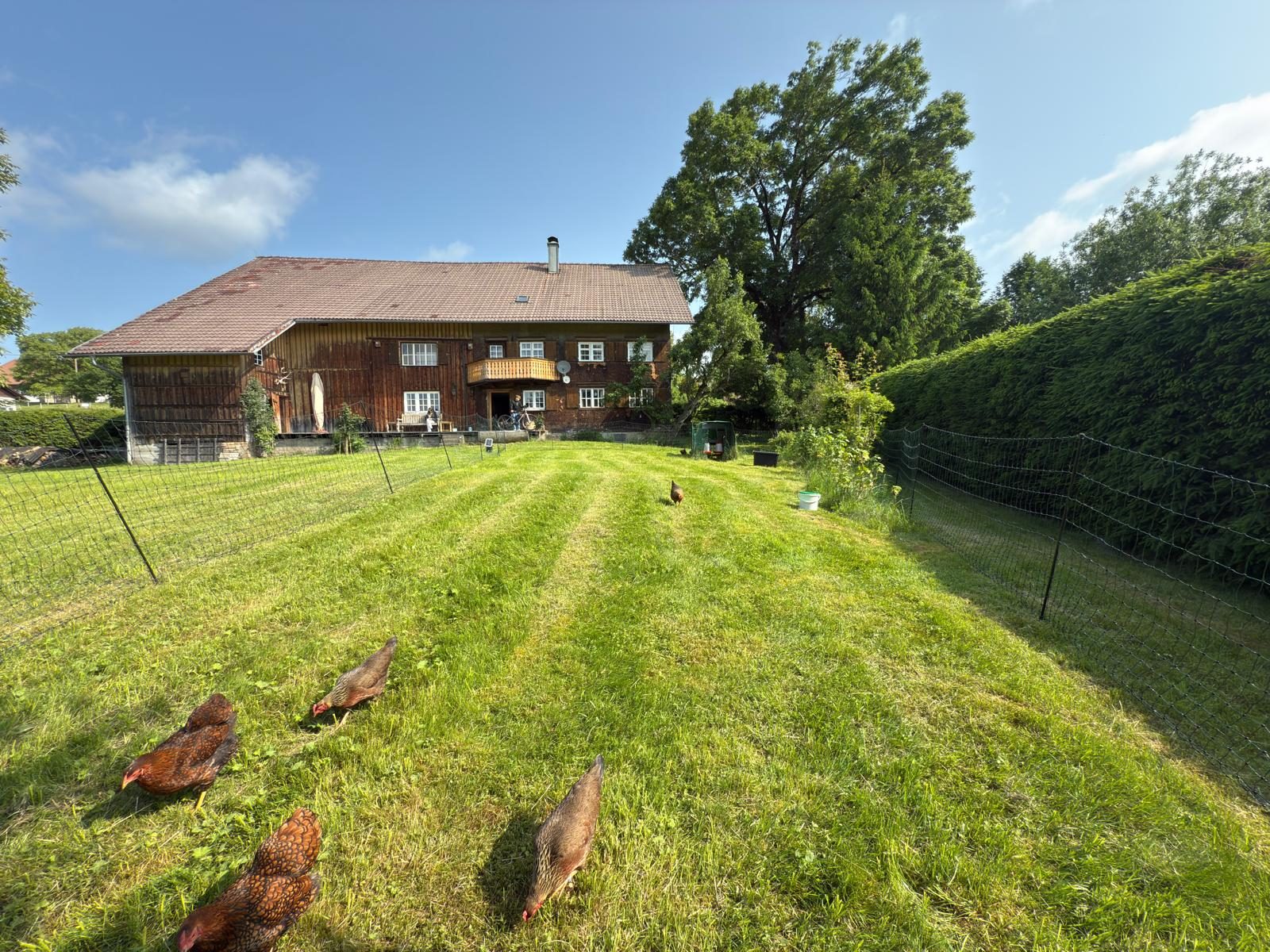 Garten Brunnen Mesnerhaus Allgäu mit Bergpanorama